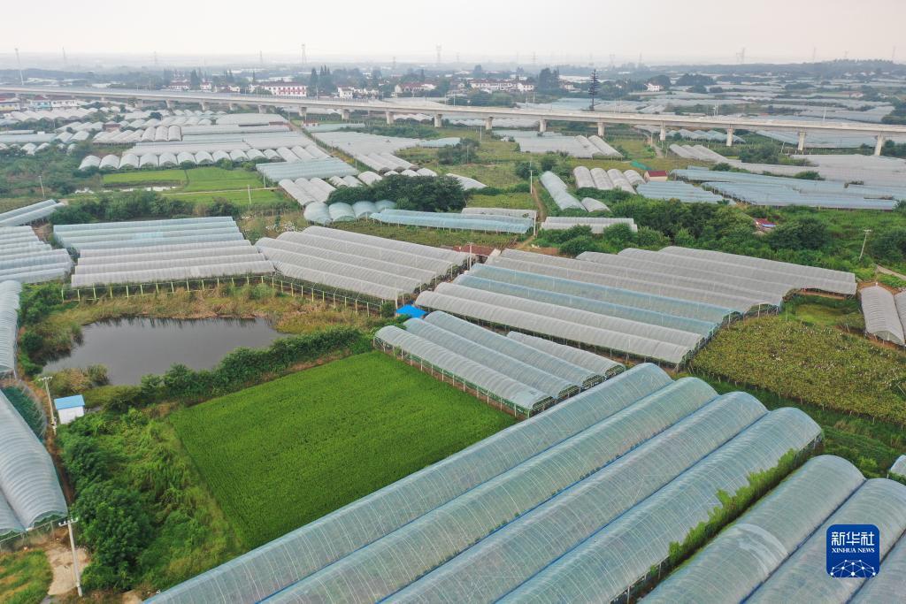 新澳门天天彩资料大全2025年资料